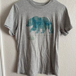 The North Face Gray T-Shirt with Blue Bear Graphic